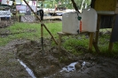 Wassergraben_Grizzly