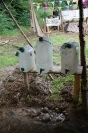 Wasserstelle_Grizzly