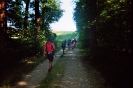 imm007_8A