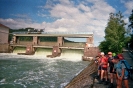 imm030_33A