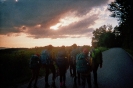 imm031_29A