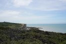DSC00600