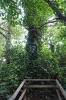 DSC02467