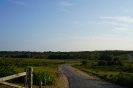 DSC01687