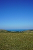 DSC01824