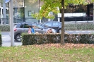 DSCF5769