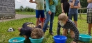 IMG_20190712_164717